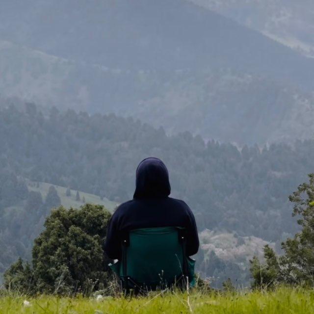 ٣١٣