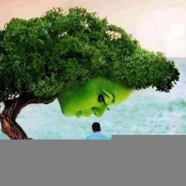 中华 天象