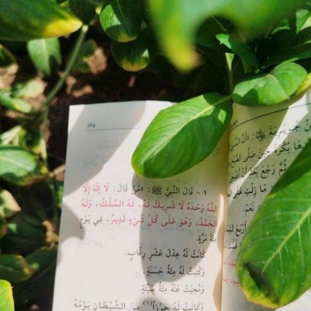 غَيمة أمــل🌧🌿.