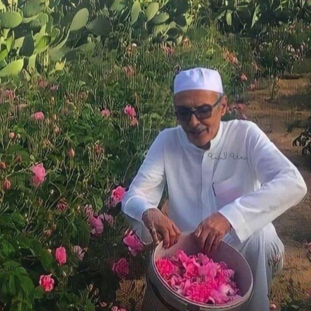 وَاهــــاج 🪶