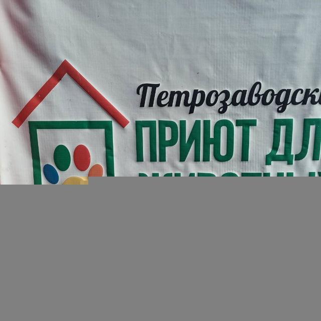 Первый Петрозаводский общественный приют