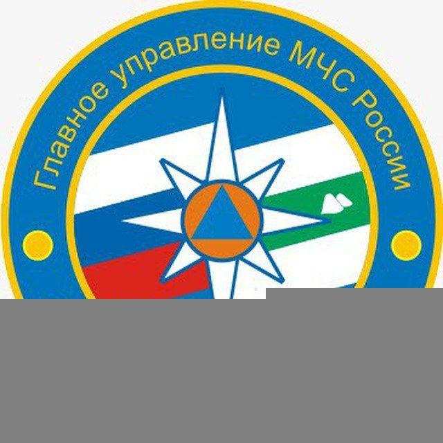 МЧС Курганской области