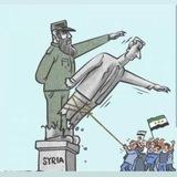 زيتون