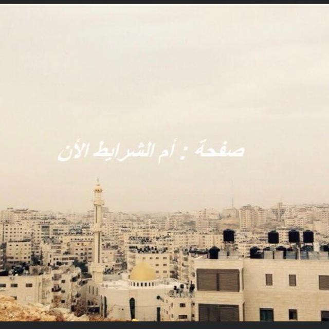 إم الشرايط الآن