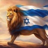 כרוניקות של סכסוכים