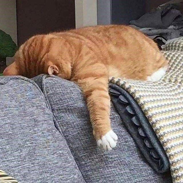 𐂂︎