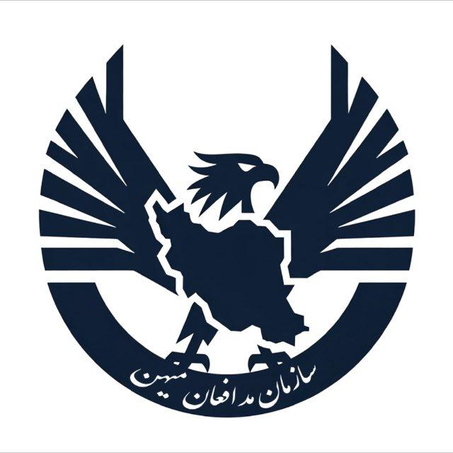 مدافعان میهن (HDF)