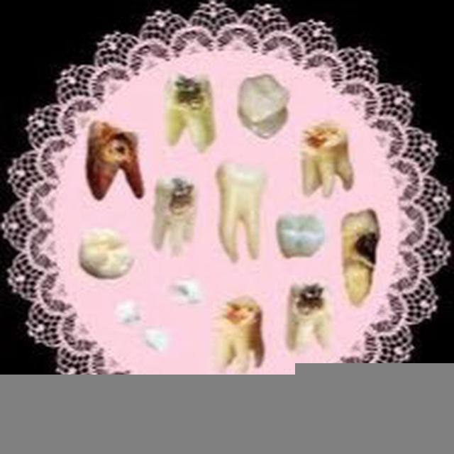 🎀Анатомический театр Такумо🎀