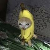 Banana Cat Portal