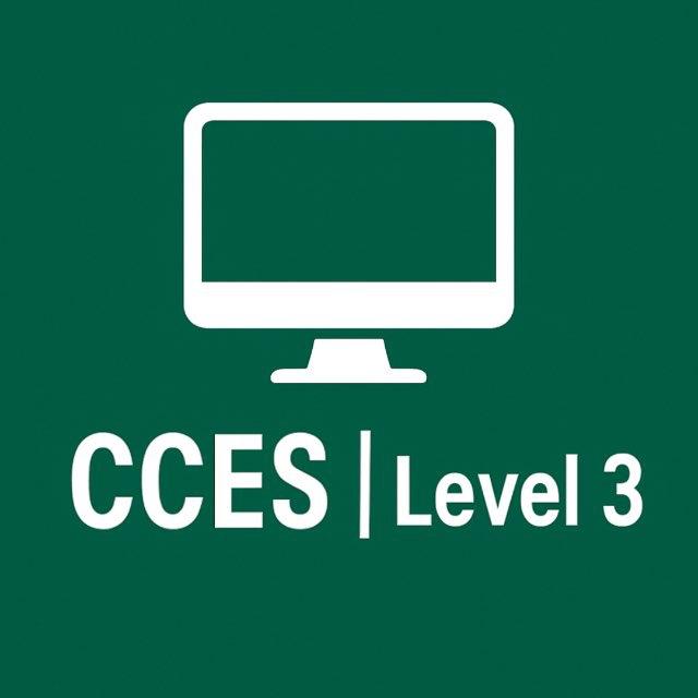 CCES | Level 3