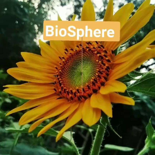 NEET_BioSphere👌