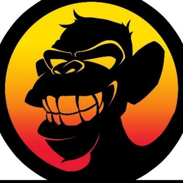 Maac 💸📈