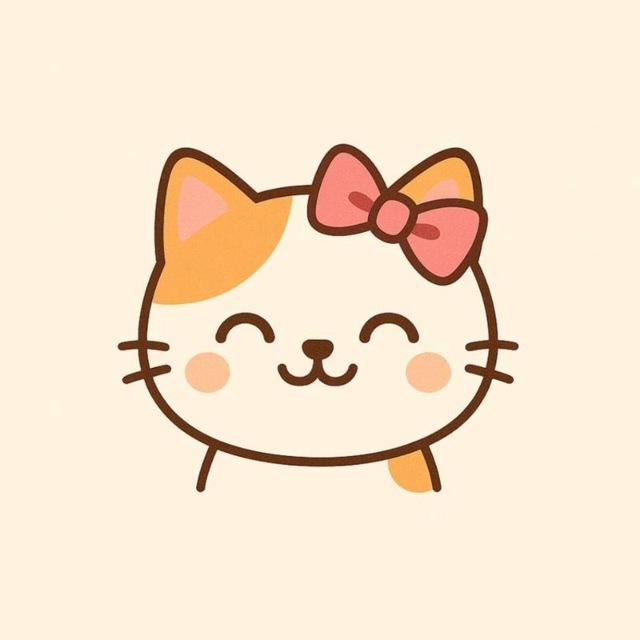 ㅤ‌ ‌𝗉𖹭𝗋𝗍𝗂 𝗌𝗁𝗈𝗉ㅤ‌