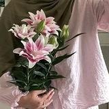 𝐏𝐥𝐚𝐧𝐞𝐭𝐚𝐫𝐲 🎀