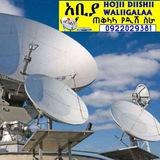 Smart dish information /ዲሽ መረጃ