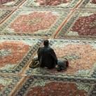 الفَرِزدقْ