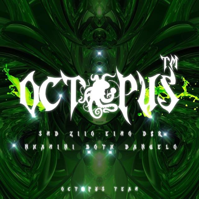 Octopus Team