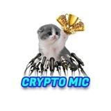 Crypto Mic
