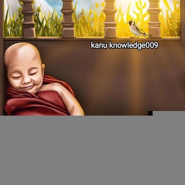 Kanu knowledge009
