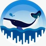 Fish The Whales