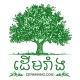 ដើមរាំង Dermrang daily