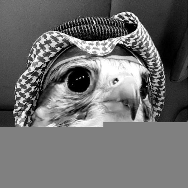 أغراب.