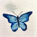 ميـنرڤـا 🦋.