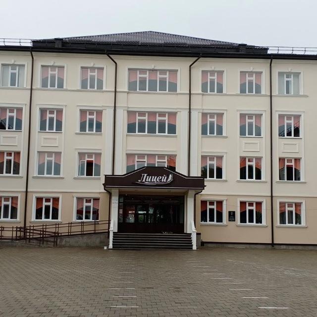 nartkalalicey1