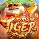Fortune Tiger 1Win