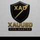 Xauusd Pips master