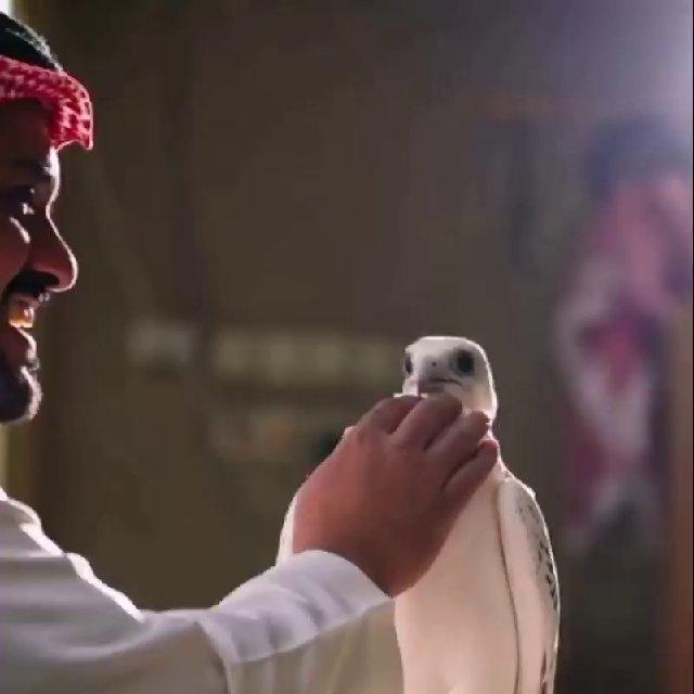 🫧هــواجــيــس البدر 🫧