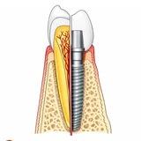 Dental books lib