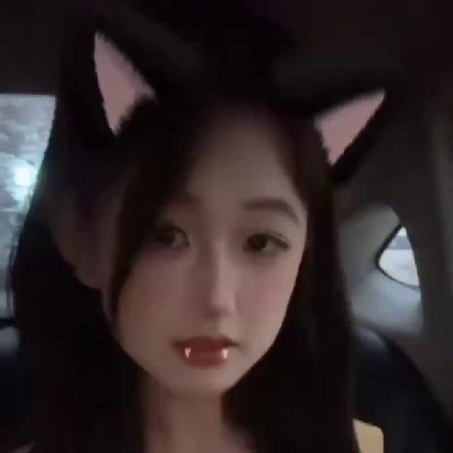 Coco的秘密花园2