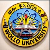 WOLLO university undergraduate students