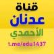 قناة عدنان الأحمدي "تقنية و تعليم"