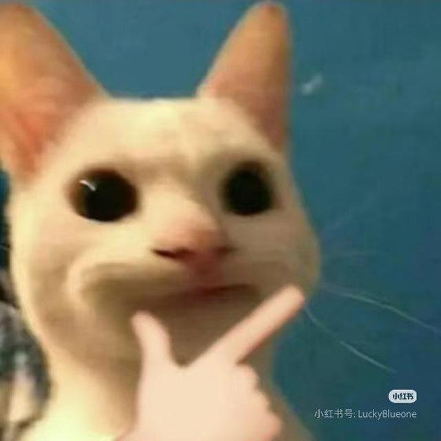 小鹿的频道
