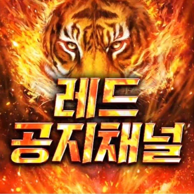 레드 공지채널
