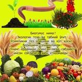 BIOGUMUS UZB