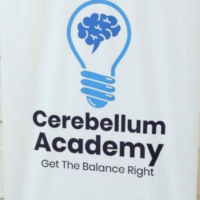 Cerebelllum academy official