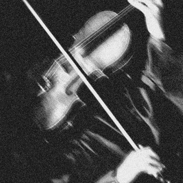 musictanii