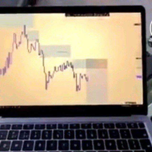 Hills Investor Forex University