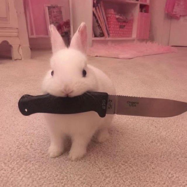 沐晴晴了