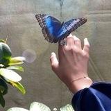- أَُوليسيس 🦋 .