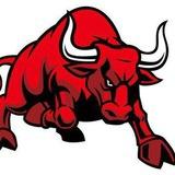 Finobulls