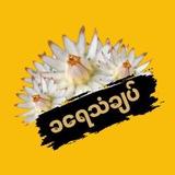 ခရေသံချပ်