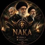 اطلاع رسانی ناکا تیم