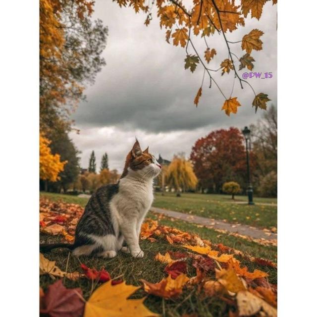 ＯＣＴＯＢＥＲ