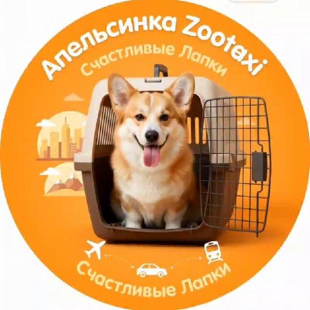🐾 Апельсинка Zootaxi - Счастливые Лапки
