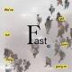FAST. HOLD SFS