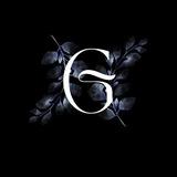 Gemini Not